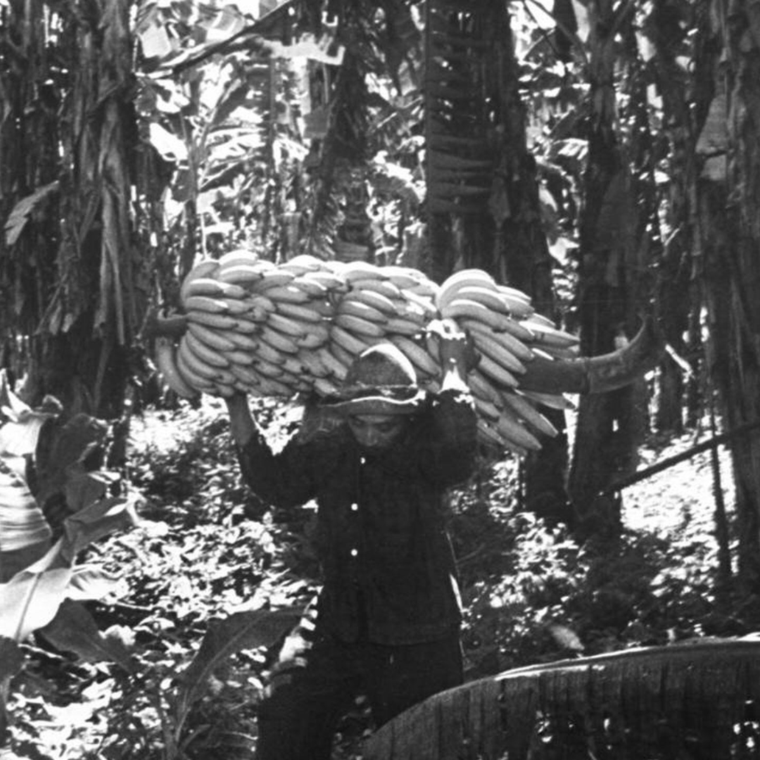 The History of USA in Guatemala - Part I