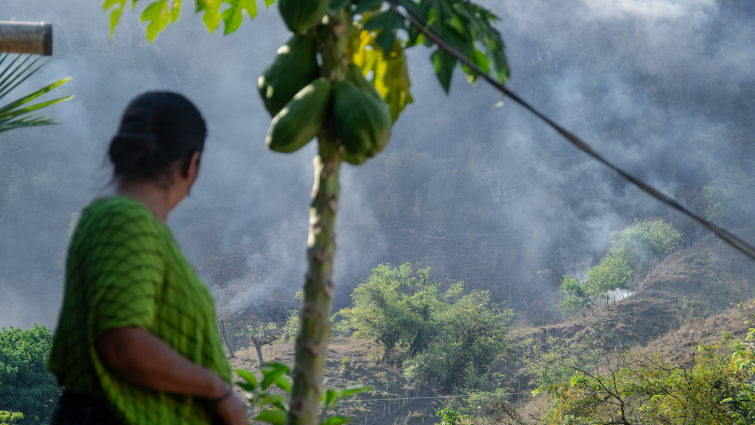 Why is the Cholq’ij Called the Human Level Calendar?