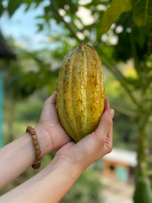 Why we should stop using the term "cacao ceremony"