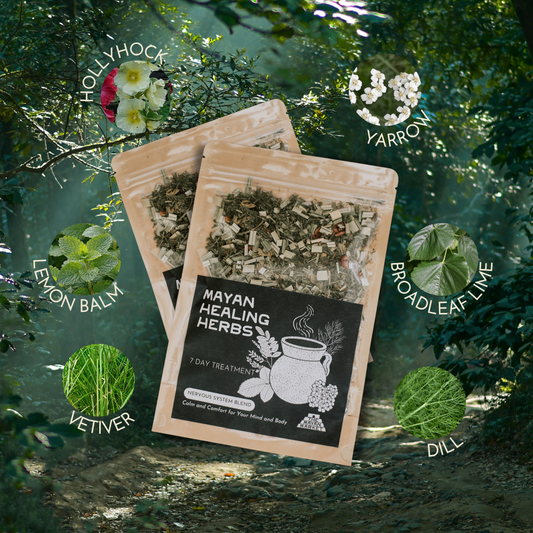 Mayan Healing Herbs - Nervous System Blend