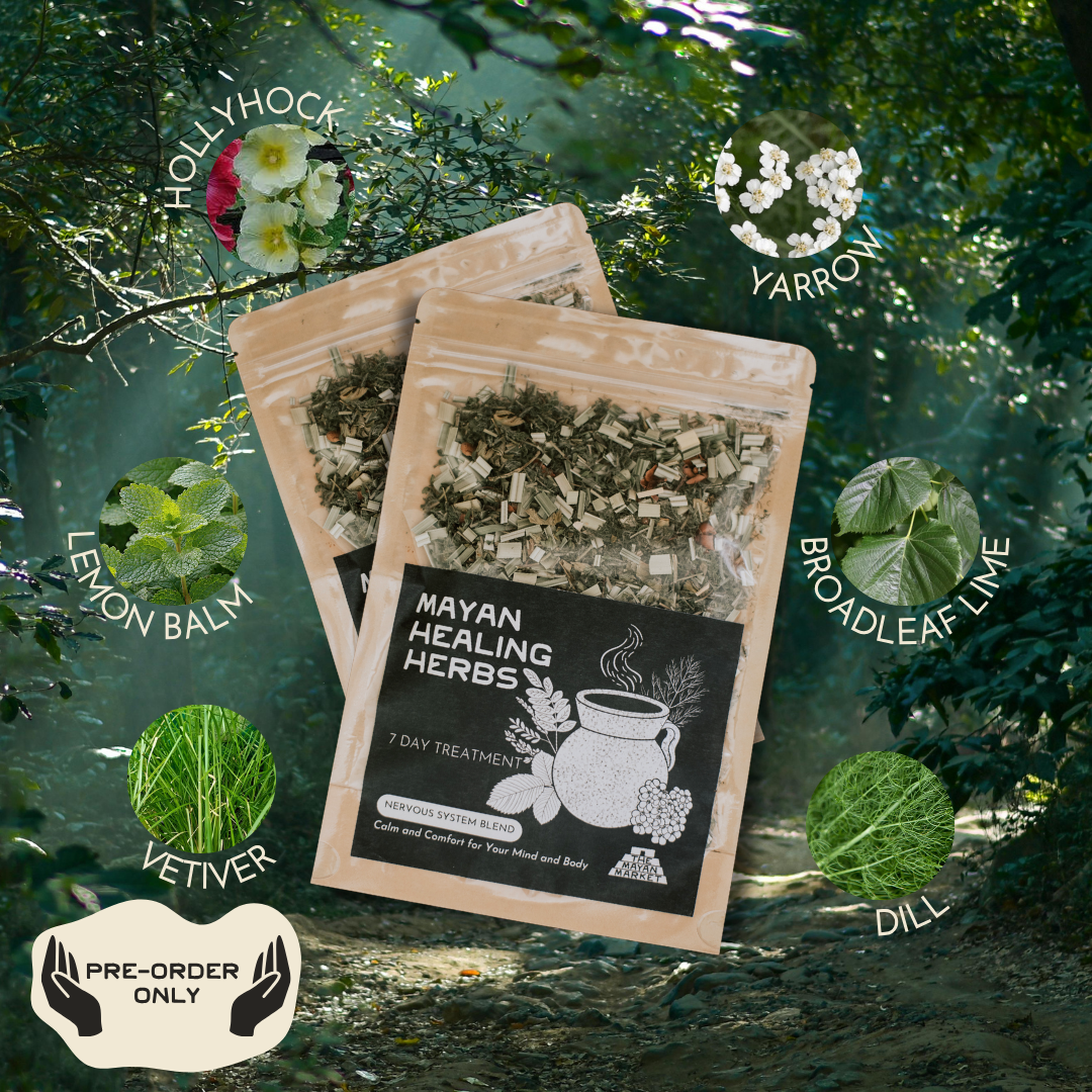 🎁 Mayan Healing Herbs - Nervous System Blend (100% off)