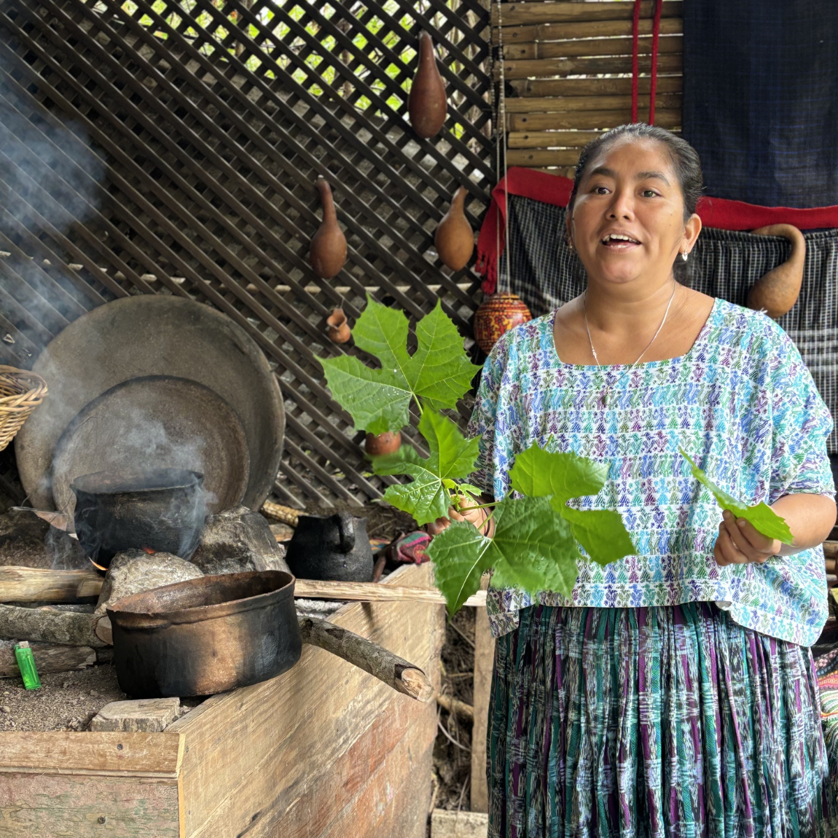 mayan-wisdom-project-journey-teacher.png__PID:e178f60f-90df-4055-8bef-b8f71c8aafb8