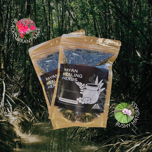 Mayan Healing Herbs - Feminine Cycle Blend