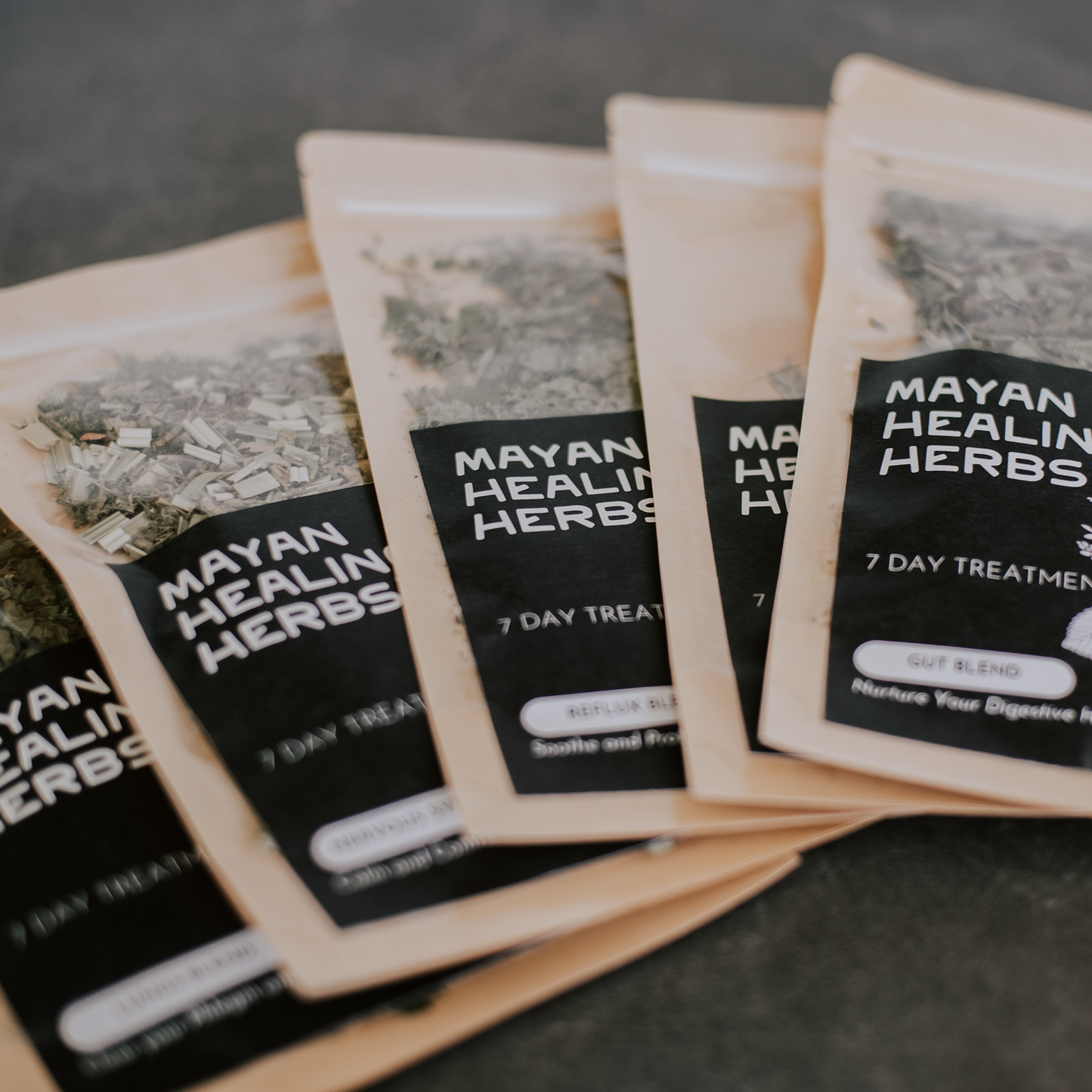 Mayan Herbal First Aid Kit