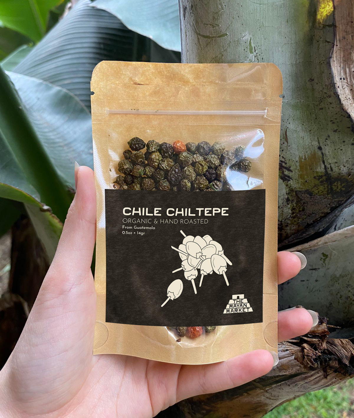 Chile Chiltepe – The Mayan Wisdom Project