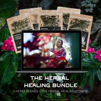 Herbal Healing Bundle