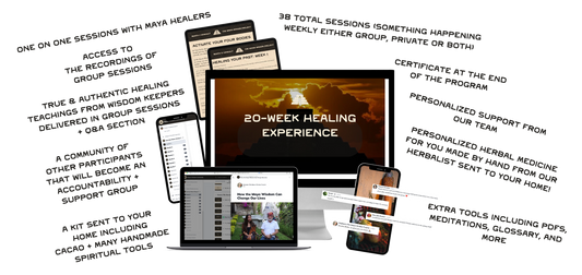 The Path to Wholeness - 20-Week Healing Experience