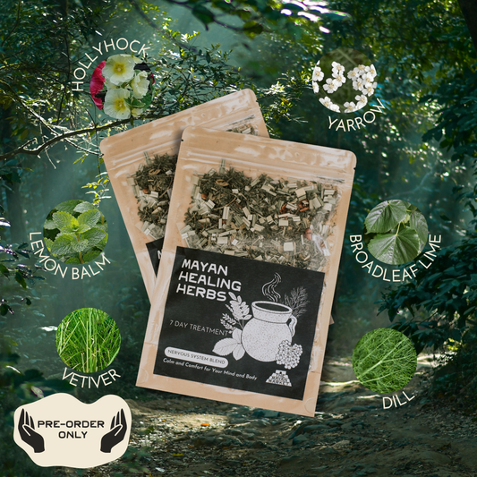 Mayan Healing Herbs - Nervous System Blend