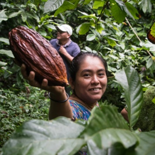 Into the Heart of the Cacao World