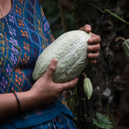 Fifth Element Lanquin Cacao - 100% Hand-Made Ceremonial Cacao Paste