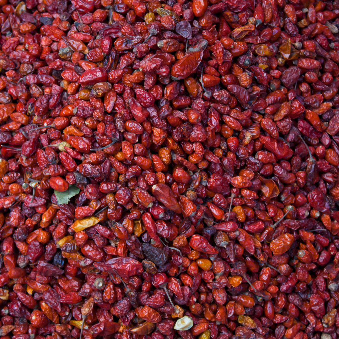 Chile Chiltepe