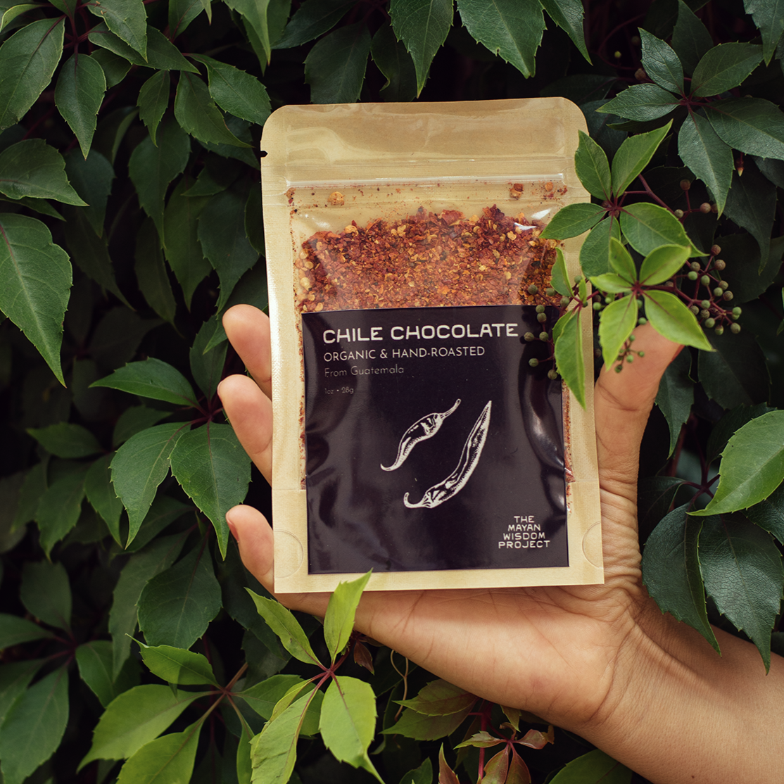 Chile Chocolate – The Mayan Wisdom Project