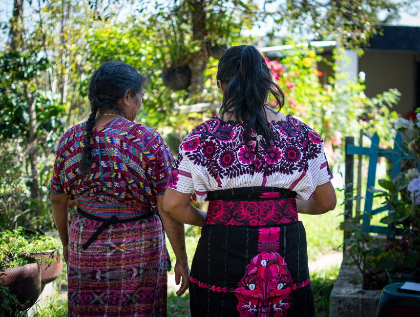 mayan-herbalist.png__PID:94959ebb-b4be-4f27-9322-92760dc6b280