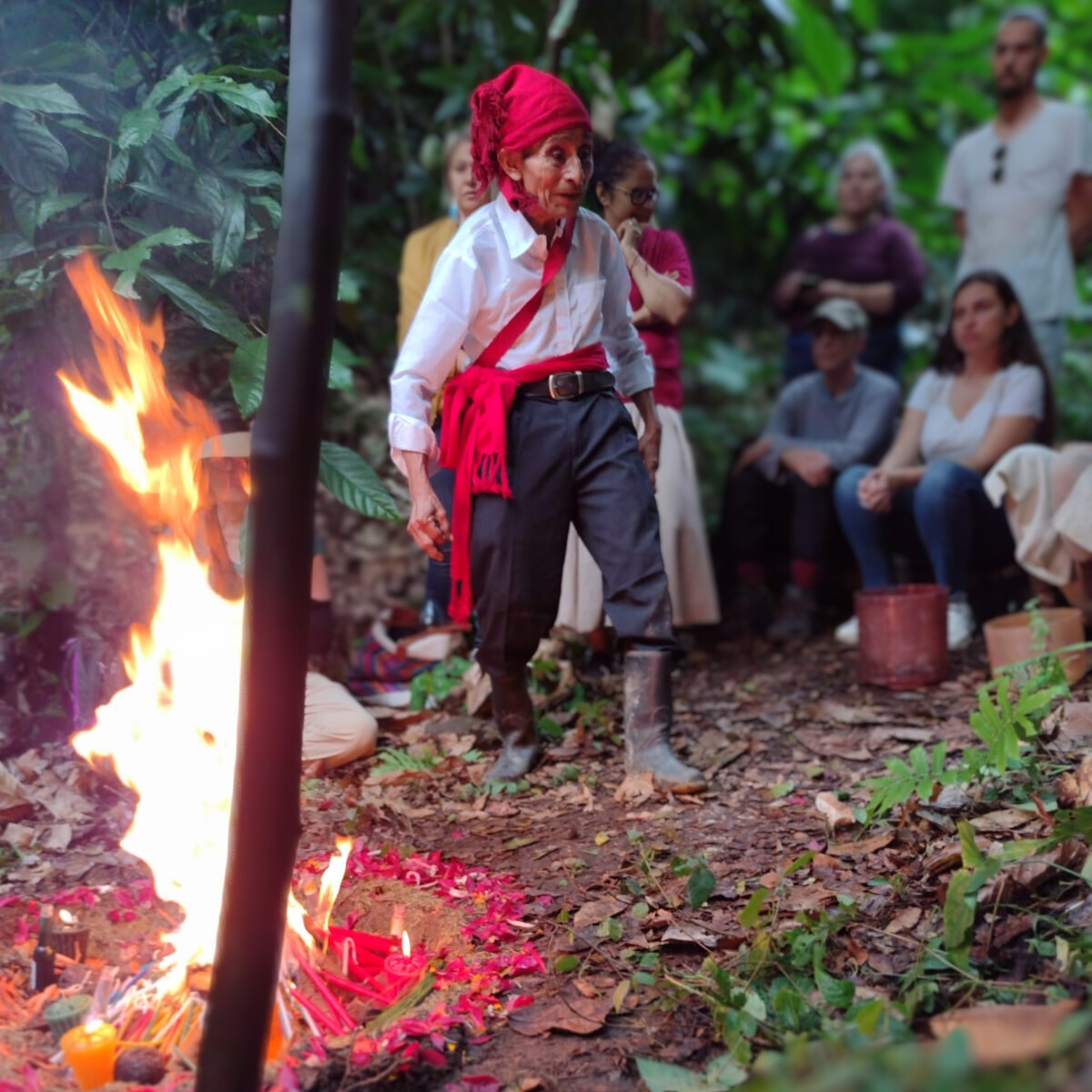 mayan-wisdom-project-journey-healing.png__PID:088d2627-c3d5-4857-bbcb-03182ab0bd31